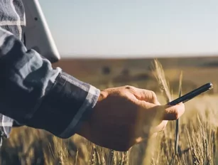 AR Smartphone apps are reshaping small-scale agriculture