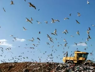 Taking out the trash&mdash;waste treatment technology sol...