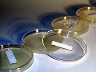Sperm grown in laboratory in fertility breakthrough