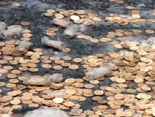 Coin and Candy Truck Collide: Loonies Loot Everywhere!