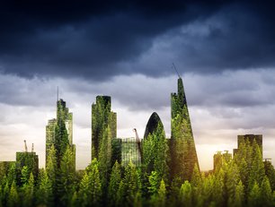 How EY Carbon is helping UK listed firms plan for net-zero