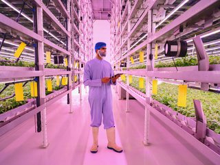 The UAE is home to the world's largest hydroponic farm