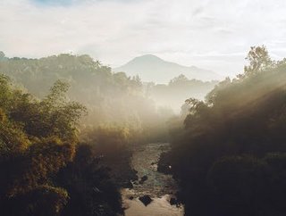 AstraZeneca announces $400 million investment in reforestation and biodiversity in support of climate action and human health, Credit: Wien Satriady