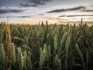 The technology aims to help growers maximise yield