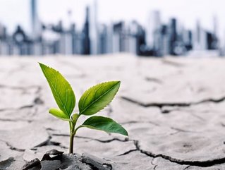 At the annual meeting in Davos, Switzerland, in 2022, the World Economic Forum launched the Resilience Consortium, to gather committed leaders from the public and private sectors to build resilience globally—across regions, economies, and industries.