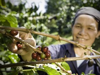 Among Fairtrade-certified products, coffee takes the lead, with 48% recognition.