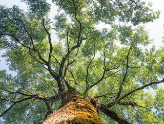 Beyond the environment, it’s important to look at your areas of influence and impact and question how you can make your role in those spaces a more positive one. Credit | Getty