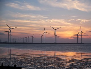 Renewables’ “Spectacular” Growth Offers a “Real Chance” of Significantly Reducing Fossil Fuel Consumption