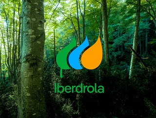 Iberdrola has already met with investment funds, according to Bloomberg Law (Image: Iberdrola)
