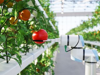 These types of robots are agile and can operate around the clock, providing cost-efficient solutions for farmers