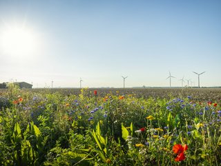 Rider Levett Bucknall’s Beatriz Fernandes discusses how biodiversity net gain, Credit: Getty