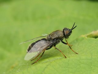 In building this insect farm, Flybox hopes to tackle climate change, land overuse and food waste.