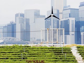 An urban farm in central Hong Kong