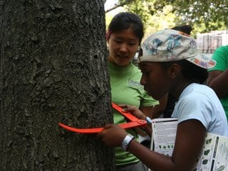 CityParks Foundation, Green Girl programme