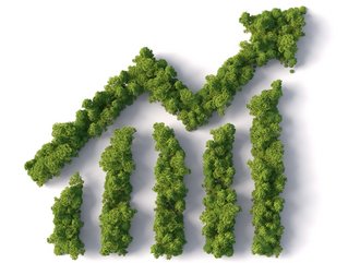 How green finance became essential to business strategy