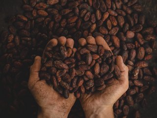 "Chocolate Scorecard" highlights supply chain ethics