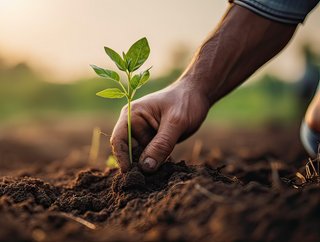 Walmart and PepsiCo have collaborated to support regenerative agriculture across more than 2 million acres of farmland   Credit: Getty Images