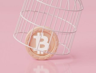 Caging the beast: there is a rampant debate about the nature of crypto regulation.