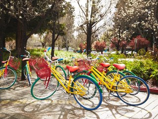Google bicycles on campus