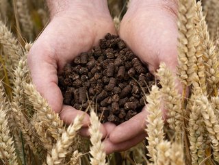 Low carbon fertiliser made from waste cocoa shells. Credit | Nestlé