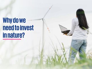KPMG's nature investment report