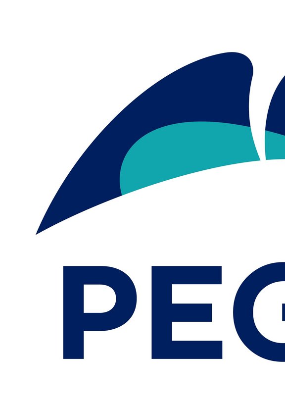 PEGA Unveils 10th Anniversary Logo - Politics Digest