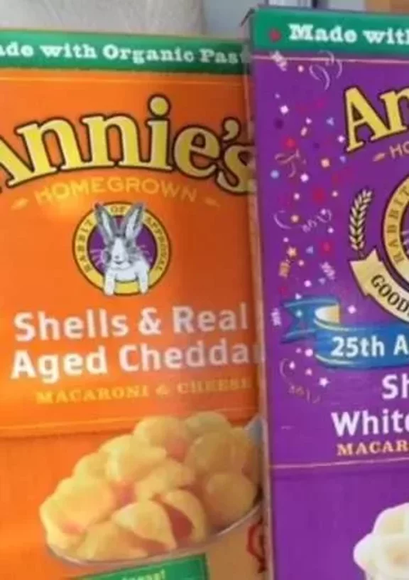 General Mills Builds Organics Portfolio with $820m Acquisition of Annie's  Homegrown