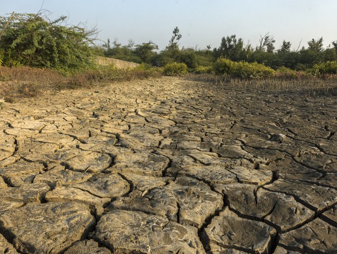 The G20 meets to discuss land degradation and biodiversity