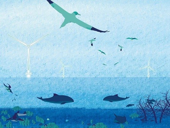 Radar Prevents Offshore Wind Farm Bird and Bat Crashes | Energy