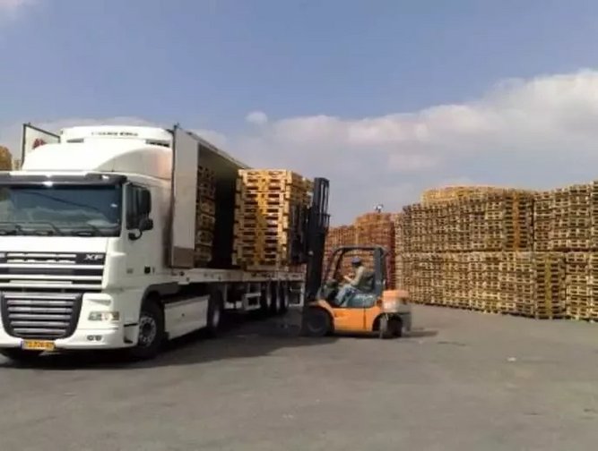 Asia Pallet Pool Pallet pooling makes warehousing sense | Supply Chain Digital