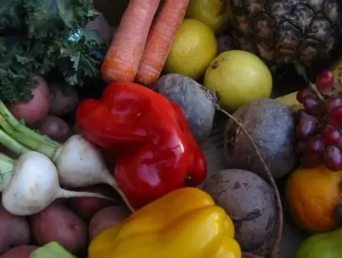 Fixing A Broken Food Supply Chain Supply Chain Magazine