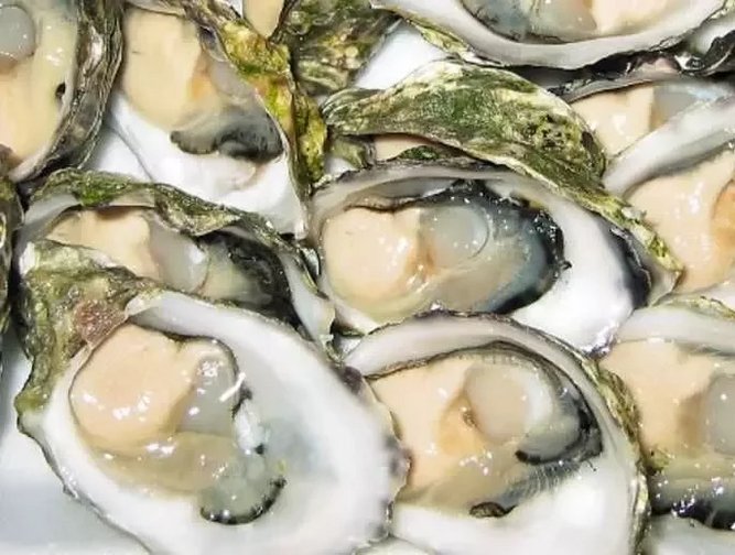 Norovirus present in three quarters of UKgrown oysters Healthcare
