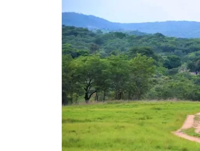 Zimbabwe targets £8.8bn mining industry by 2023 | Mining Digital