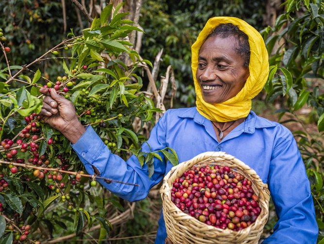 Blockchain The Answer To Global Food Supply Chain Waste Supply