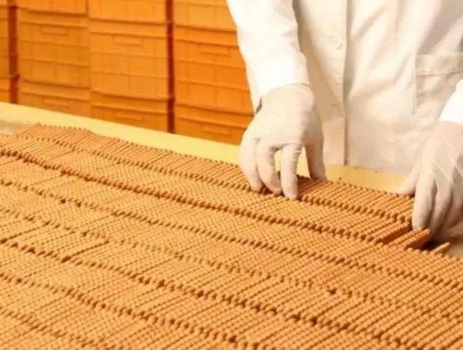 Integrating Lean Principles in Food Processing Food and Drink Digital