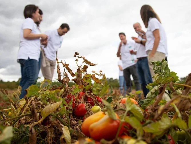 農業與糧食系統能否實現永續發展？ Can Agriculture & Food Systems Be Sustainable?