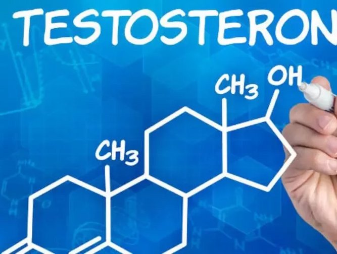 Prescription testosterone is no longer the answer | Healthcare Digital