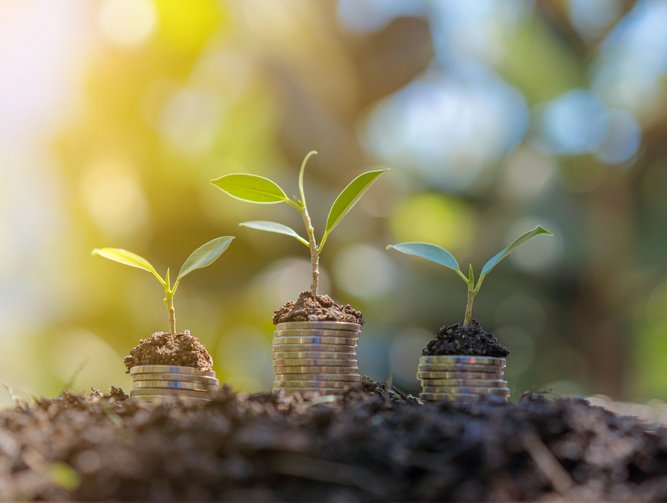 ERM issues annual sustainability report underscores growth ERM issues annual sustainability report underscores growth