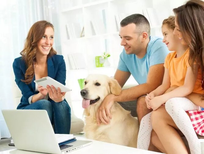 Lemonade introduces pet insurance for cats and dogs InsurTech Magazine