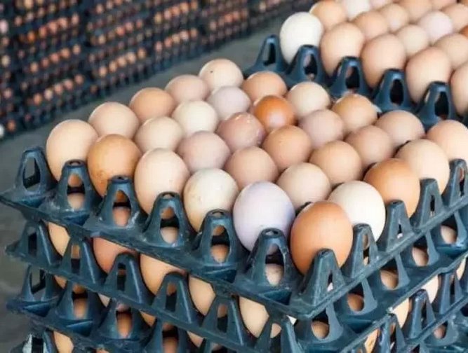 General Mills Is Switching To Cage Free Eggs By 2025 Food And Drink   3d63fe64 Aa2c 83fd 2019 F173853c9c11 Jpeg.webp 