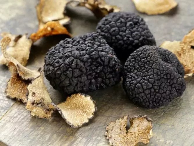 An Industry Begins South Africa Produces Its First Black Truffle