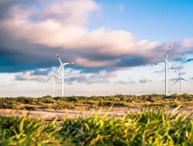 Jermyn Street Design The cost of a sustainable supply chain