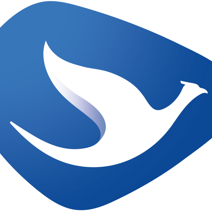 Wild bird logo design. Vector illustration of abstract blue bird flying  Stock Vector | Adobe Stock