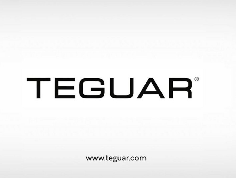 What Is A Teguar? | TEGUAR