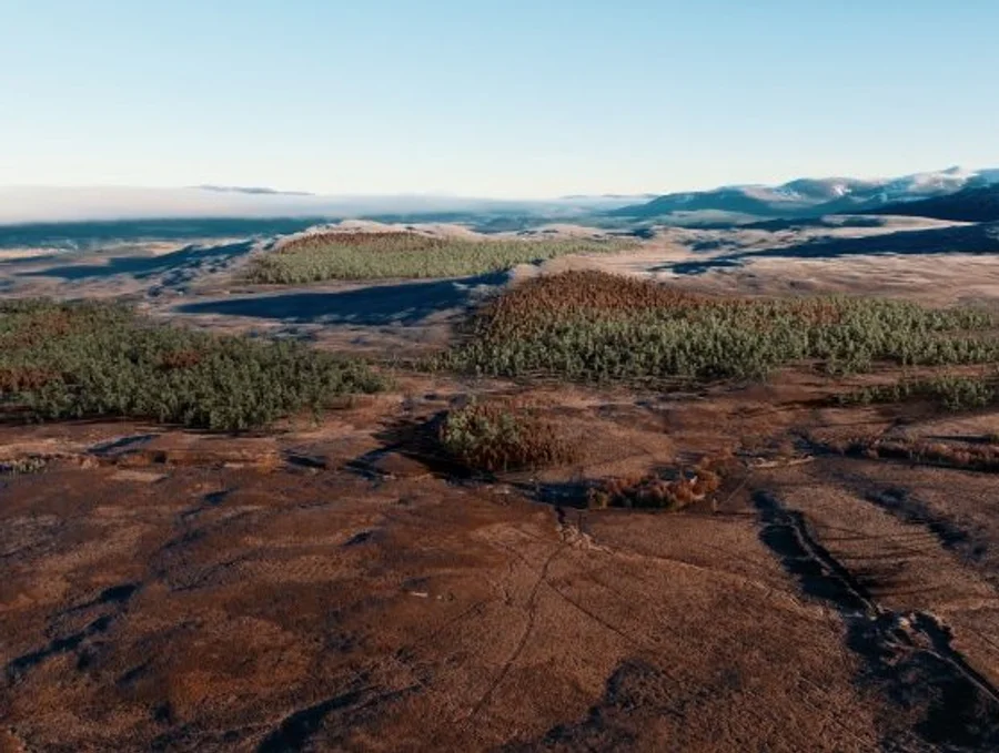 Todos os Créditos de Carbono São Criados Iguais?