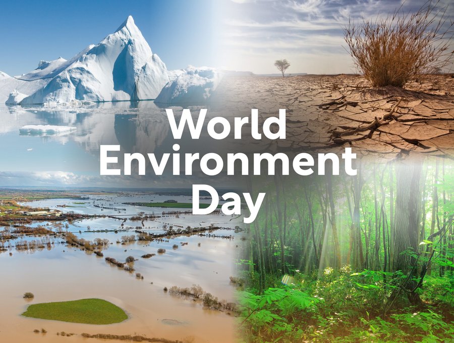 World Environment Day World Environment Day Environment Day Nature